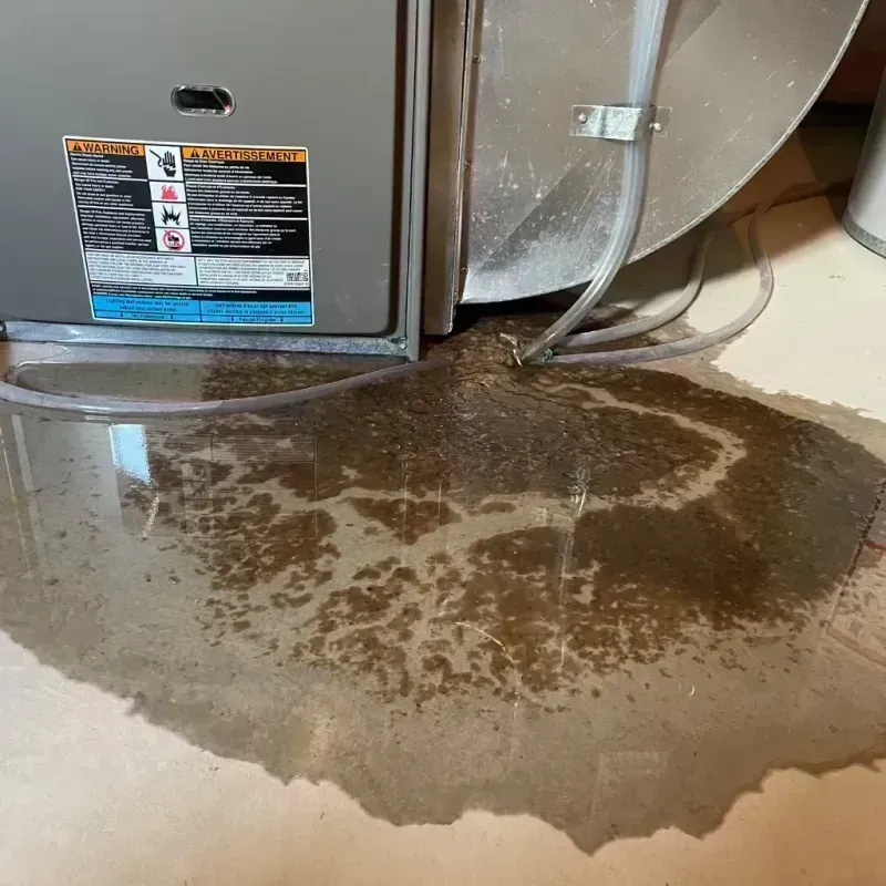 Appliance Leak Cleanup in Western Springs, IL